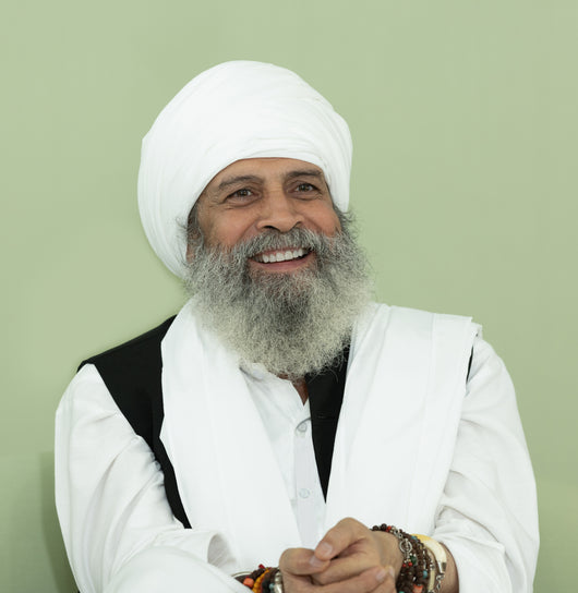 Sant Baljit Singh Ji NEW photo # 20230528 Nawan Nagar-022