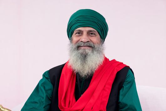 Sant Baljit Singh - photo # 20241004 Nawan Nagar-019