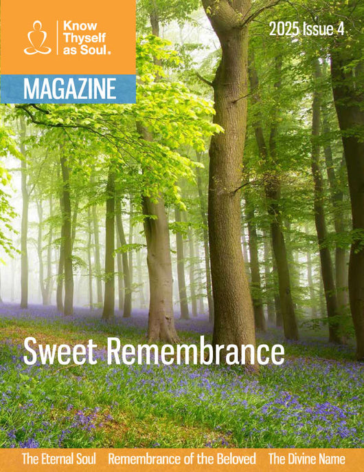 Know Thyself as Soul Magazine SINGLE ISSUES - English