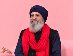 Sant Baljit Singh Ji - photo #20250924-Nawan-Nagar-006-5X7-8X10