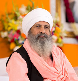 Sant Baljit Singh - Photo # 20170326NawanNagar-028