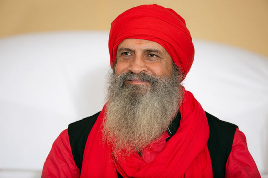 Sant Baljit Singh Ji - NEW photo # 20190406 Nawan Nagar-010